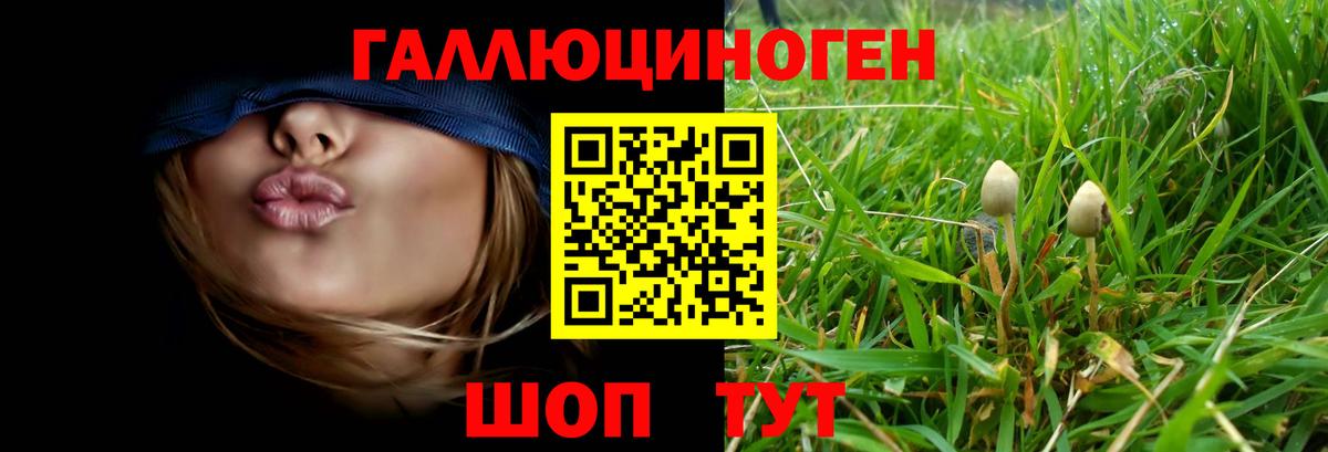 Алексин  Псилоцибиновые грибы мухоморы  Вход с VPN 